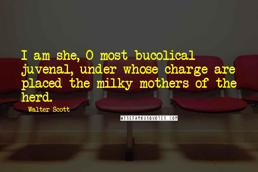 Walter Scott Quotes: I am she, O most bucolical juvenal, under whose charge are placed the milky mothers of the herd.