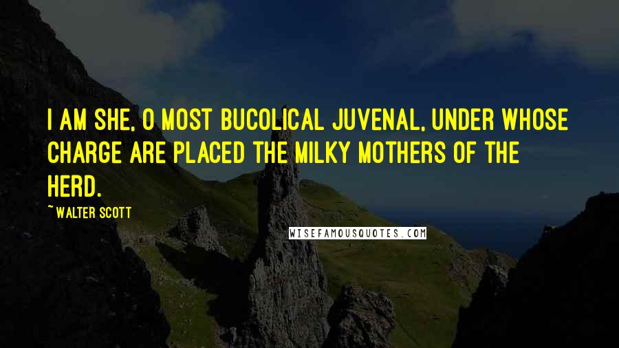 Walter Scott Quotes: I am she, O most bucolical juvenal, under whose charge are placed the milky mothers of the herd.