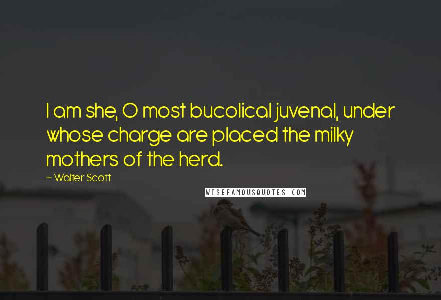 Walter Scott Quotes: I am she, O most bucolical juvenal, under whose charge are placed the milky mothers of the herd.