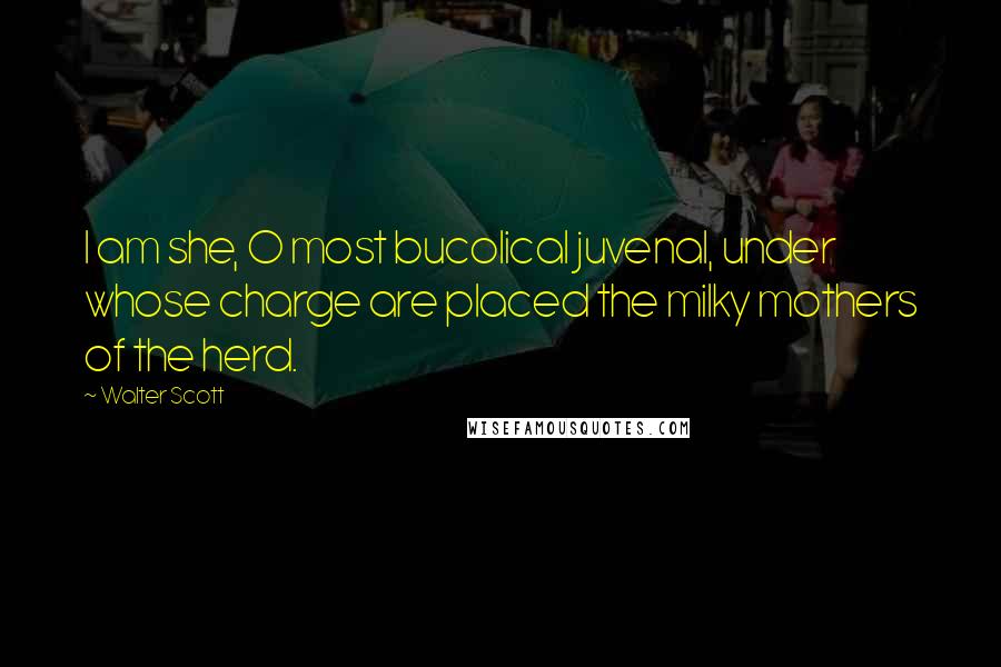 Walter Scott Quotes: I am she, O most bucolical juvenal, under whose charge are placed the milky mothers of the herd.