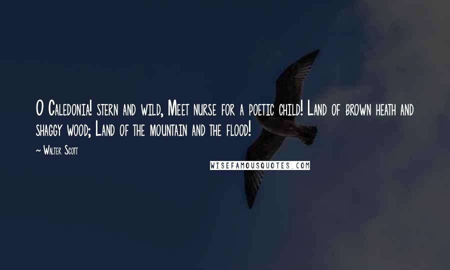 Walter Scott Quotes: O Caledonia! stern and wild, Meet nurse for a poetic child! Land of brown heath and shaggy wood; Land of the mountain and the flood!
