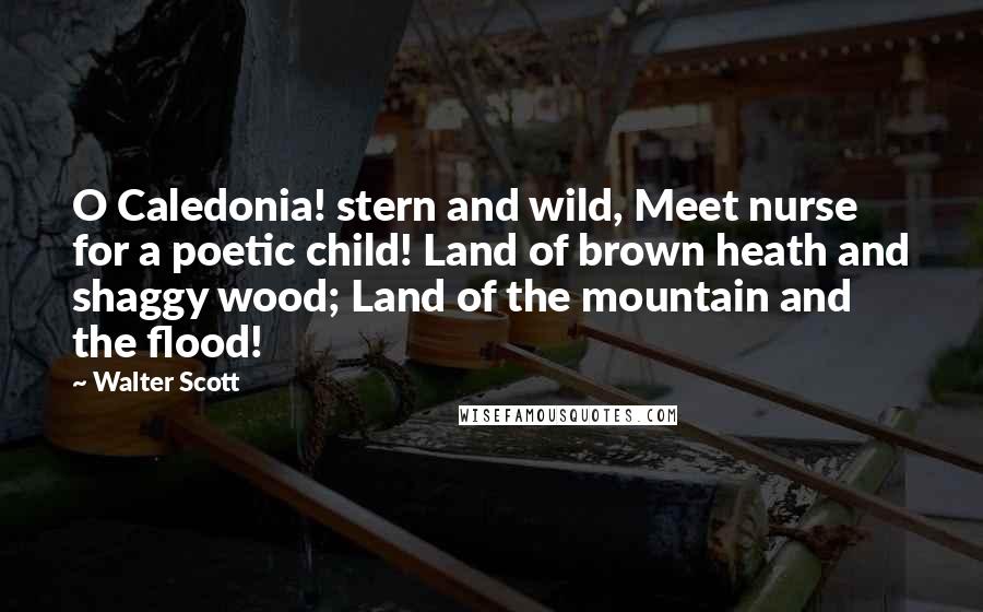 Walter Scott Quotes: O Caledonia! stern and wild, Meet nurse for a poetic child! Land of brown heath and shaggy wood; Land of the mountain and the flood!