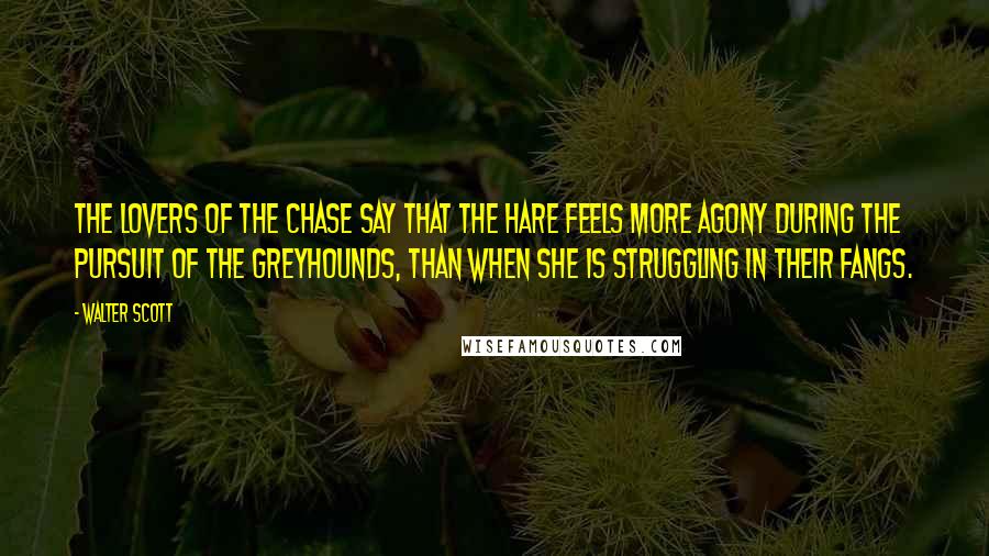 Walter Scott Quotes: The lovers of the chase say that the hare feels more agony during the pursuit of the greyhounds, than when she is struggling in their fangs.