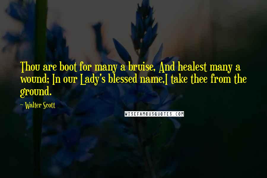 Walter Scott Quotes: Thou are boot for many a bruise, And healest many a wound; In our Lady's blessed name,I take thee from the ground.