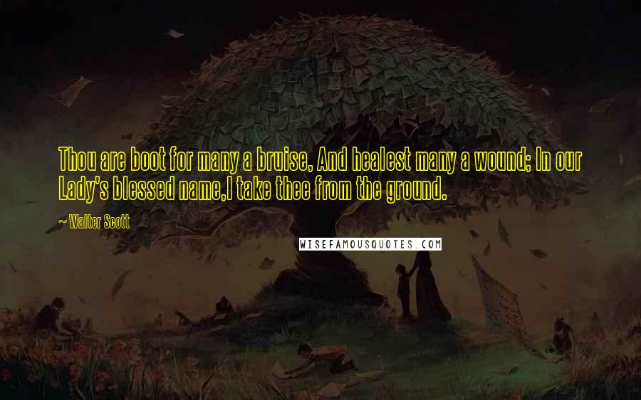 Walter Scott Quotes: Thou are boot for many a bruise, And healest many a wound; In our Lady's blessed name,I take thee from the ground.