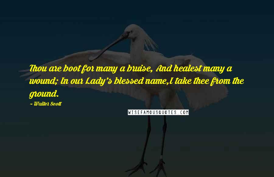 Walter Scott Quotes: Thou are boot for many a bruise, And healest many a wound; In our Lady's blessed name,I take thee from the ground.