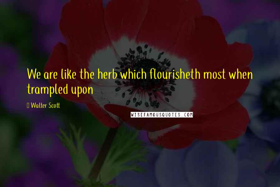 Walter Scott Quotes: We are like the herb which flourisheth most when trampled upon