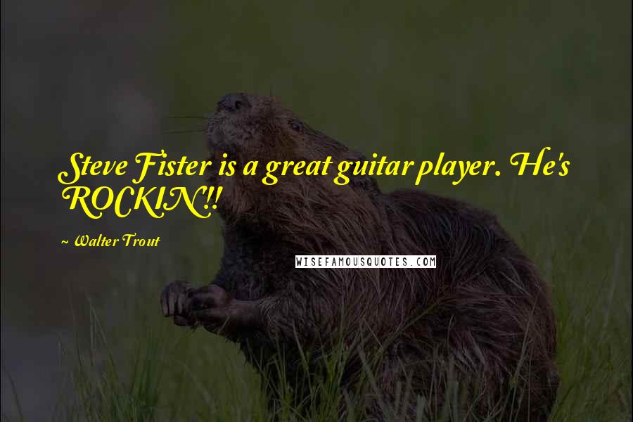 Walter Trout Quotes: Steve Fister is a great guitar player. He's ROCKIN'!!