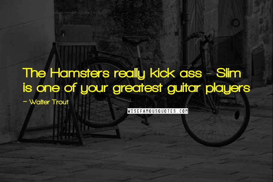Walter Trout Quotes: The Hamsters really kick ass - Slim is one of your greatest guitar players