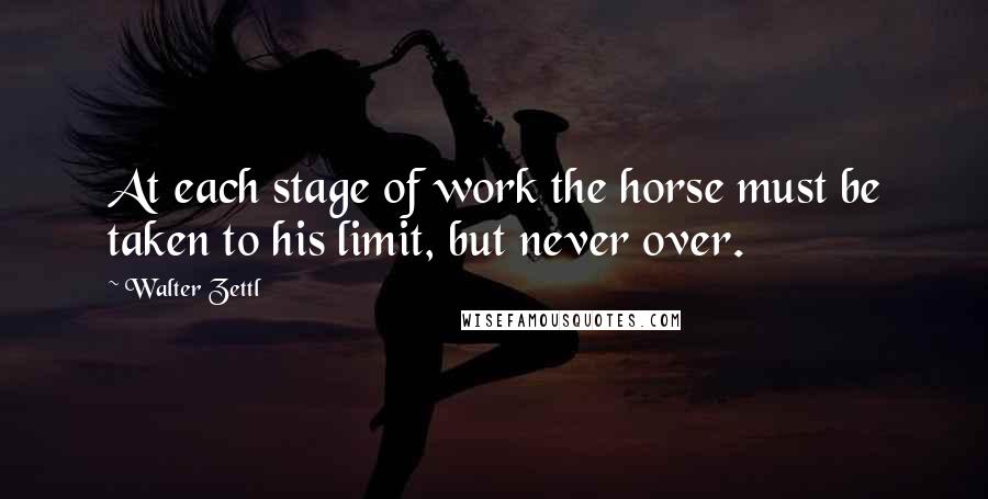 Walter Zettl Quotes: At each stage of work the horse must be taken to his limit, but never over.