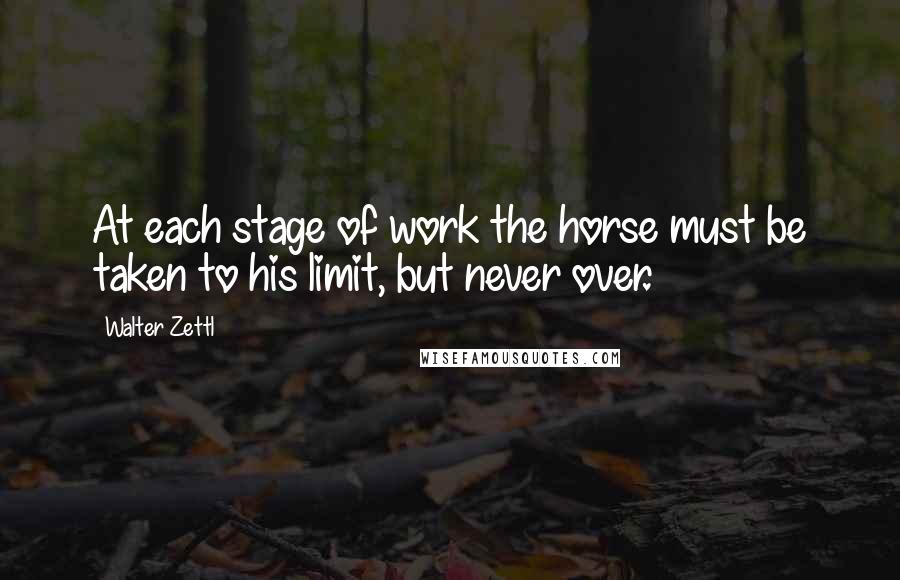 Walter Zettl Quotes: At each stage of work the horse must be taken to his limit, but never over.