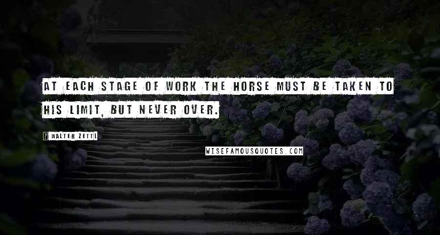 Walter Zettl Quotes: At each stage of work the horse must be taken to his limit, but never over.