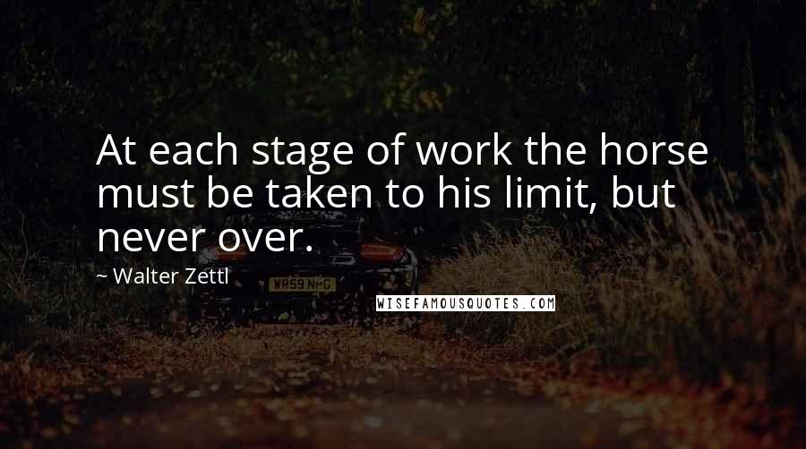 Walter Zettl Quotes: At each stage of work the horse must be taken to his limit, but never over.