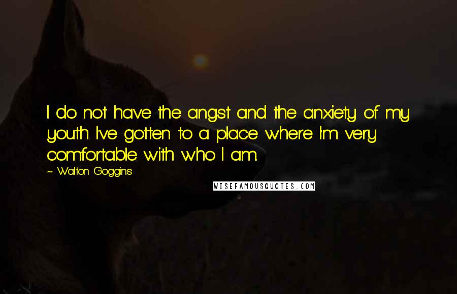 Walton Goggins Quotes: I do not have the angst and the anxiety of my youth. I've gotten to a place where I'm very comfortable with who I am.