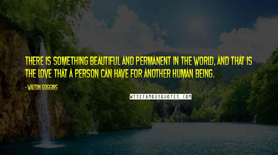 Walton Goggins Quotes: There is something beautiful and permanent in the world, and that is the love that a person can have for another human being.