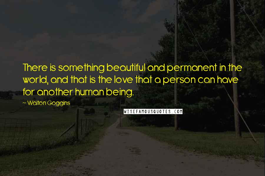 Walton Goggins Quotes: There is something beautiful and permanent in the world, and that is the love that a person can have for another human being.