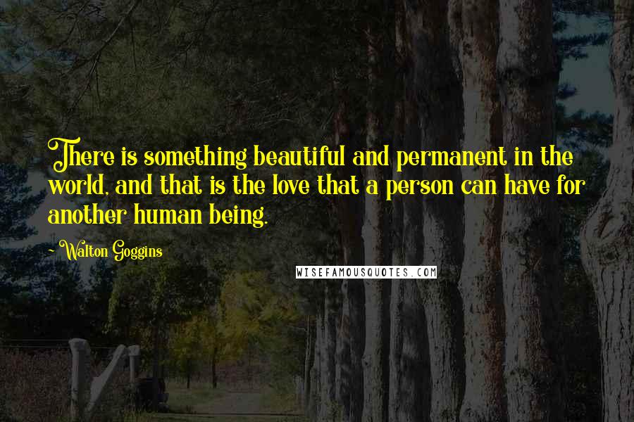 Walton Goggins Quotes: There is something beautiful and permanent in the world, and that is the love that a person can have for another human being.