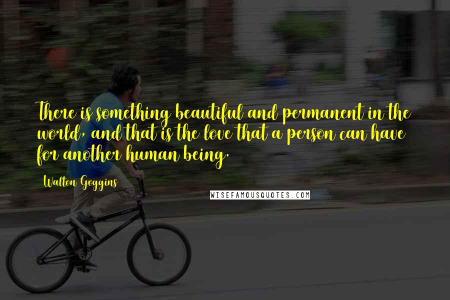 Walton Goggins Quotes: There is something beautiful and permanent in the world, and that is the love that a person can have for another human being.