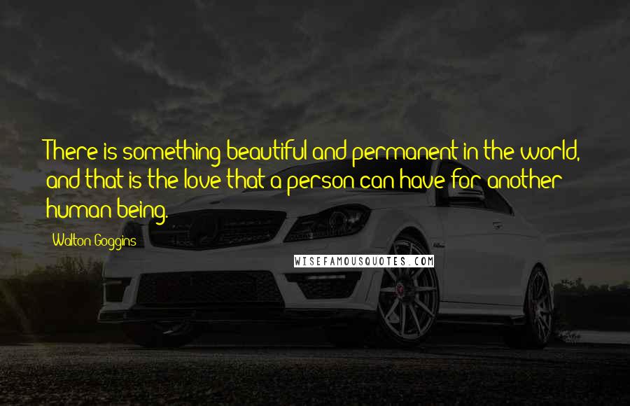 Walton Goggins Quotes: There is something beautiful and permanent in the world, and that is the love that a person can have for another human being.