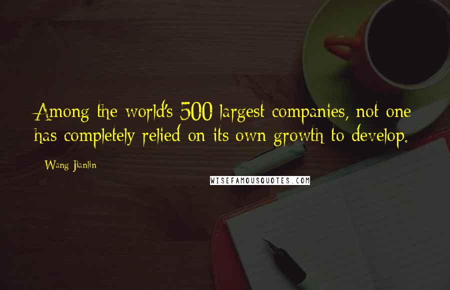 Wang Jianlin Quotes: Among the world's 500 largest companies, not one has completely relied on its own growth to develop.