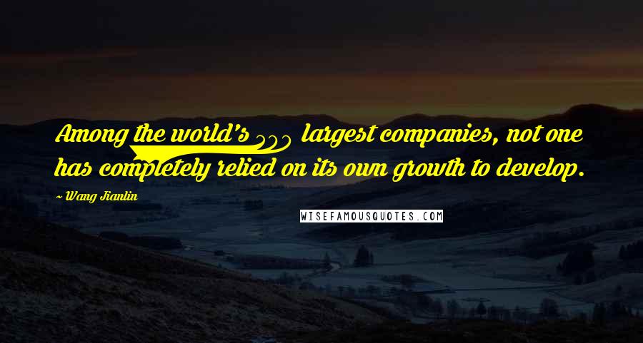 Wang Jianlin Quotes: Among the world's 500 largest companies, not one has completely relied on its own growth to develop.