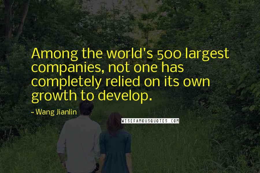 Wang Jianlin Quotes: Among the world's 500 largest companies, not one has completely relied on its own growth to develop.