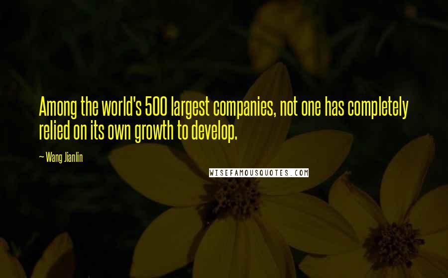 Wang Jianlin Quotes: Among the world's 500 largest companies, not one has completely relied on its own growth to develop.