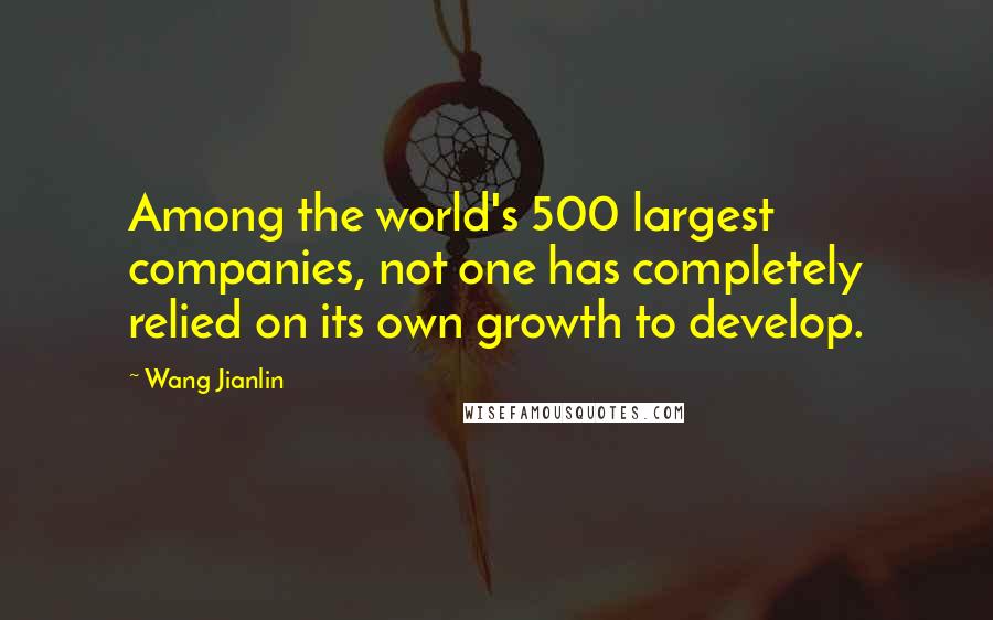 Wang Jianlin Quotes: Among the world's 500 largest companies, not one has completely relied on its own growth to develop.