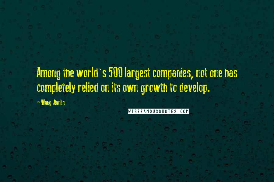 Wang Jianlin Quotes: Among the world's 500 largest companies, not one has completely relied on its own growth to develop.