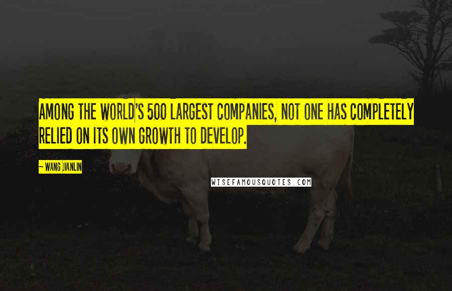 Wang Jianlin Quotes: Among the world's 500 largest companies, not one has completely relied on its own growth to develop.