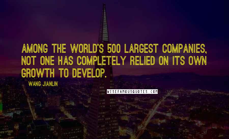 Wang Jianlin Quotes: Among the world's 500 largest companies, not one has completely relied on its own growth to develop.