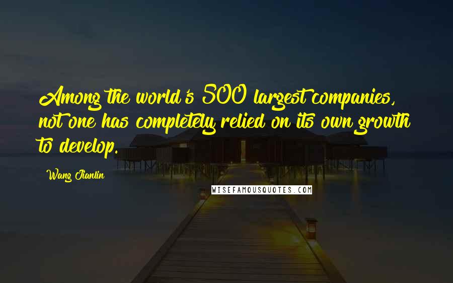 Wang Jianlin Quotes: Among the world's 500 largest companies, not one has completely relied on its own growth to develop.