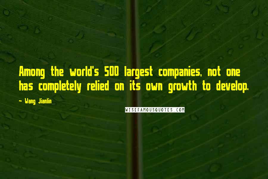 Wang Jianlin Quotes: Among the world's 500 largest companies, not one has completely relied on its own growth to develop.
