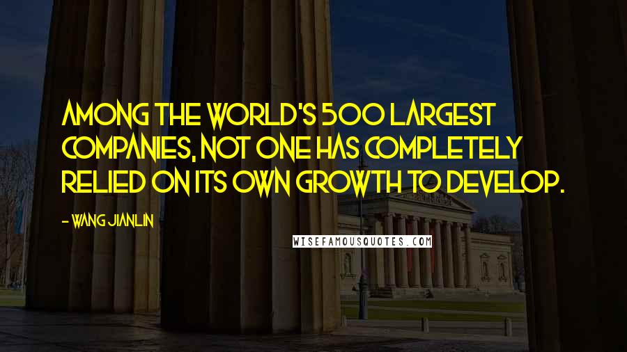 Wang Jianlin Quotes: Among the world's 500 largest companies, not one has completely relied on its own growth to develop.