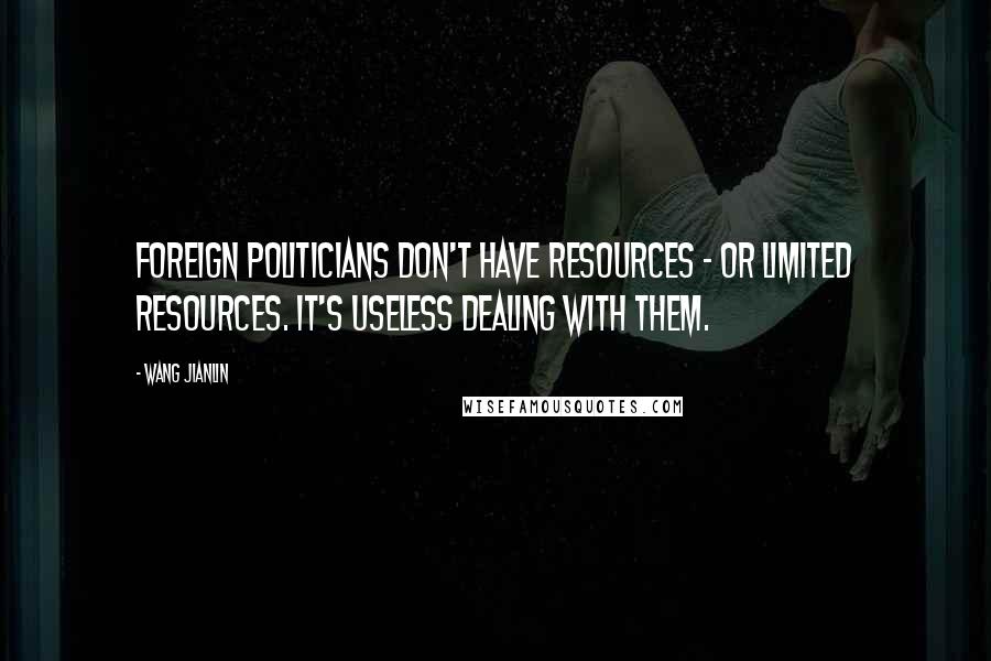 Wang Jianlin Quotes: Foreign politicians don't have resources - or limited resources. It's useless dealing with them.