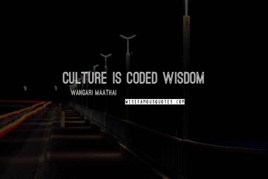 Wangari Maathai Quotes: Culture is coded wisdom