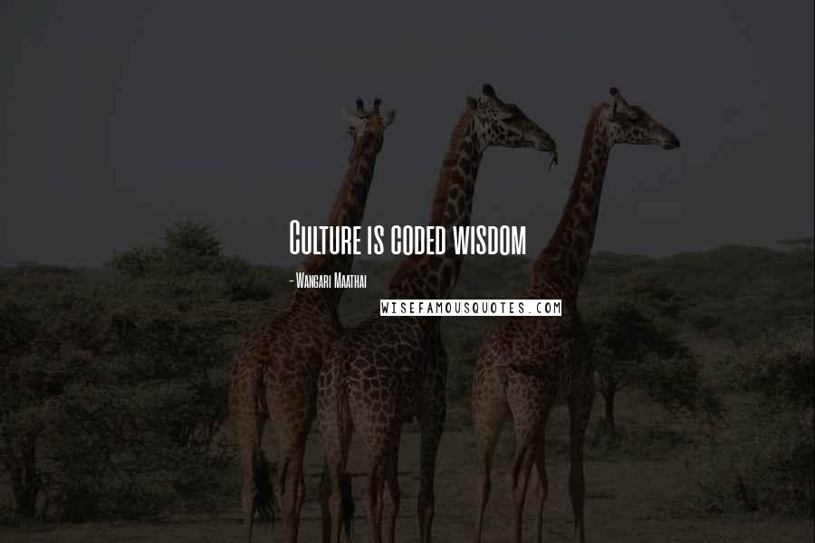 Wangari Maathai Quotes: Culture is coded wisdom