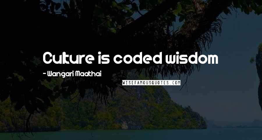 Wangari Maathai Quotes: Culture is coded wisdom