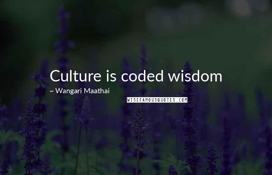 Wangari Maathai Quotes: Culture is coded wisdom