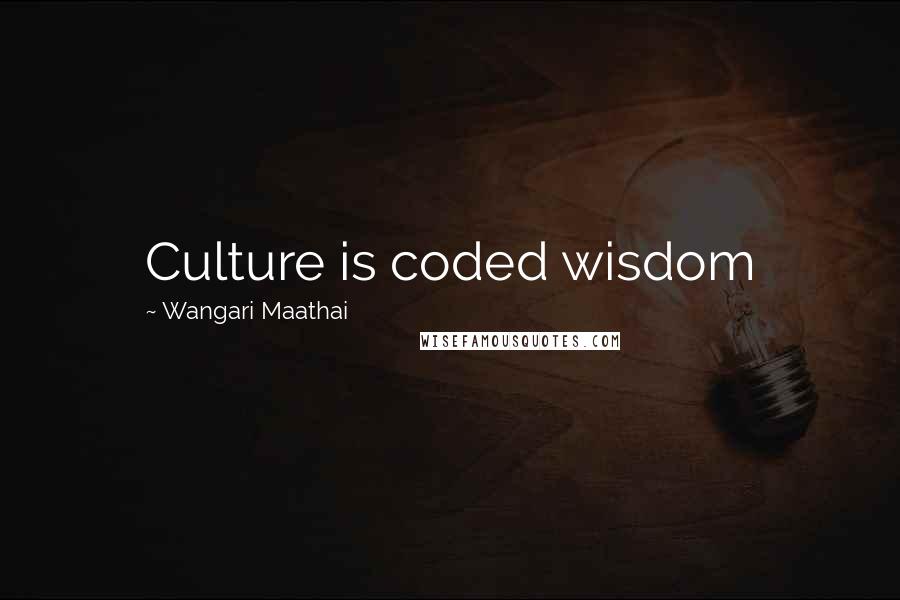 Wangari Maathai Quotes: Culture is coded wisdom