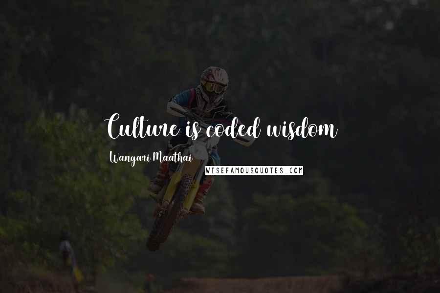 Wangari Maathai Quotes: Culture is coded wisdom