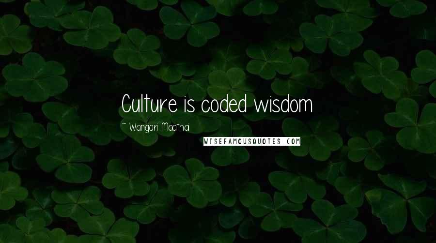 Wangari Maathai Quotes: Culture is coded wisdom