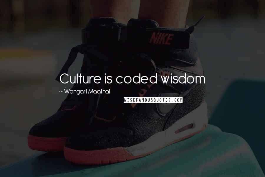 Wangari Maathai Quotes: Culture is coded wisdom