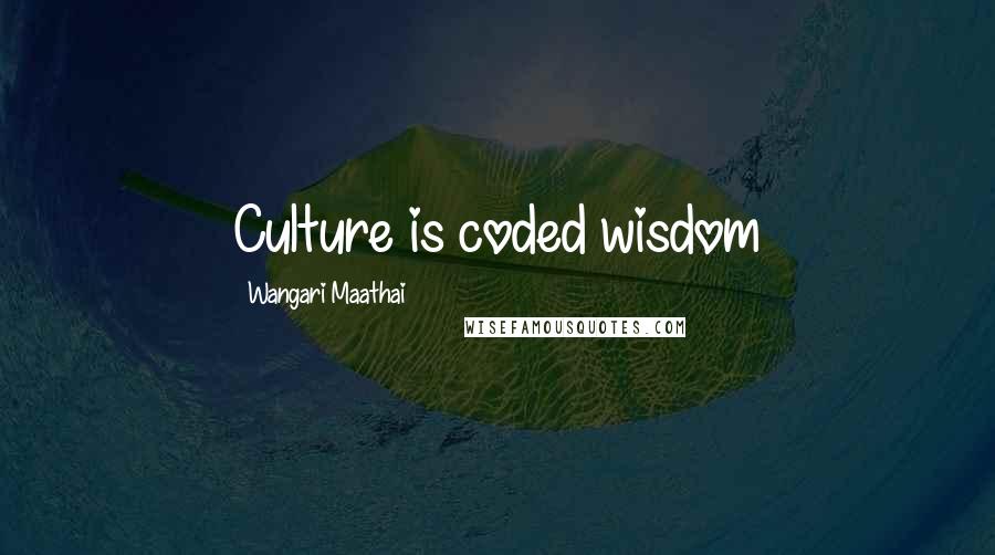 Wangari Maathai Quotes: Culture is coded wisdom