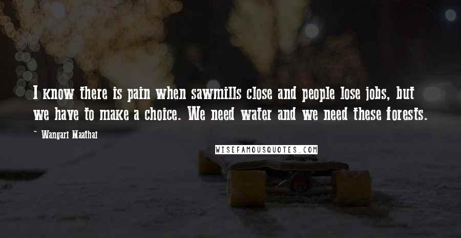 Wangari Maathai Quotes: I know there is pain when sawmills close and people lose jobs, but we have to make a choice. We need water and we need these forests.
