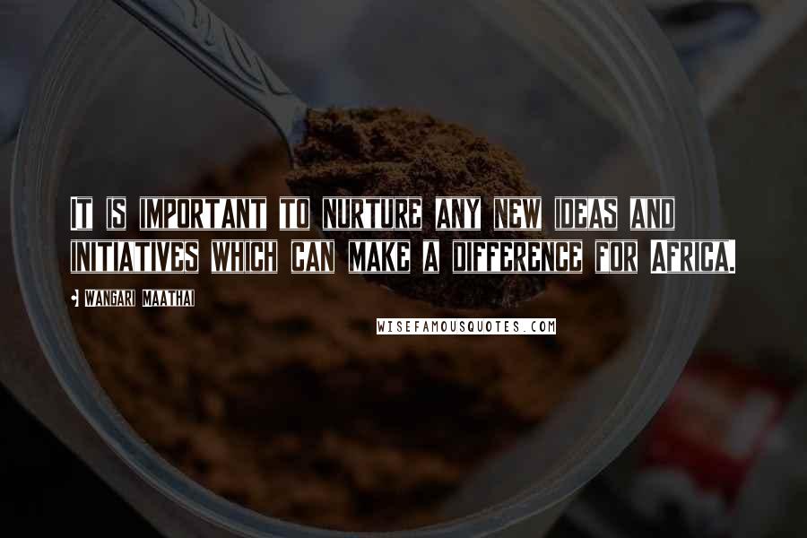 Wangari Maathai Quotes: It is important to nurture any new ideas and initiatives which can make a difference for Africa.