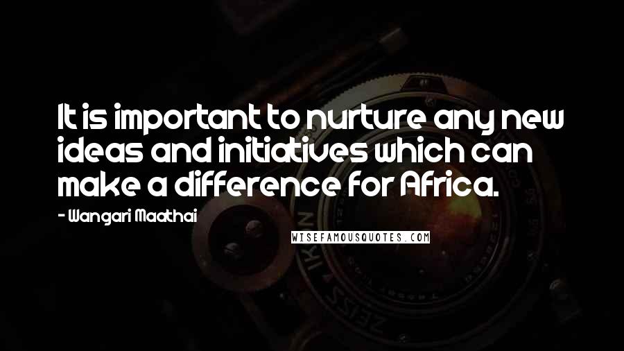 Wangari Maathai Quotes: It is important to nurture any new ideas and initiatives which can make a difference for Africa.