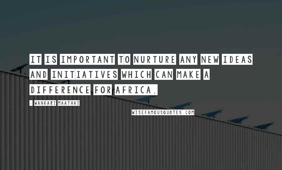 Wangari Maathai Quotes: It is important to nurture any new ideas and initiatives which can make a difference for Africa.