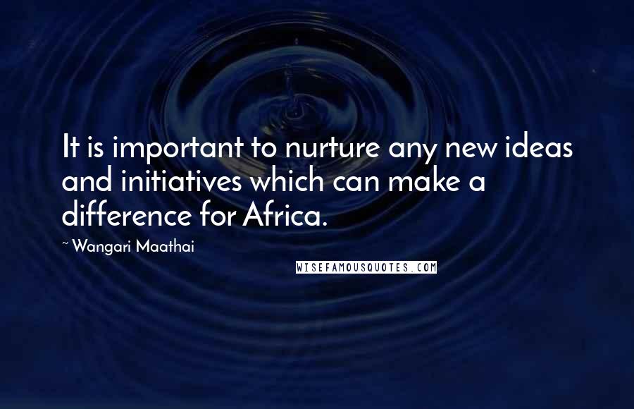 Wangari Maathai Quotes: It is important to nurture any new ideas and initiatives which can make a difference for Africa.