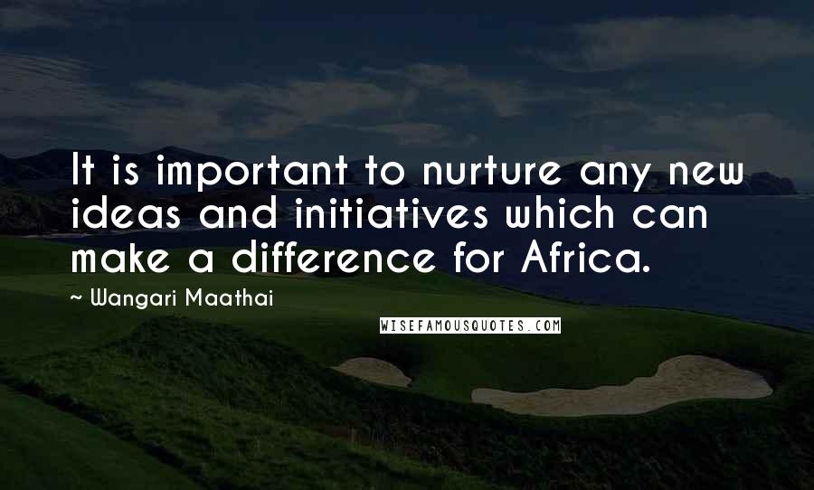 Wangari Maathai Quotes: It is important to nurture any new ideas and initiatives which can make a difference for Africa.